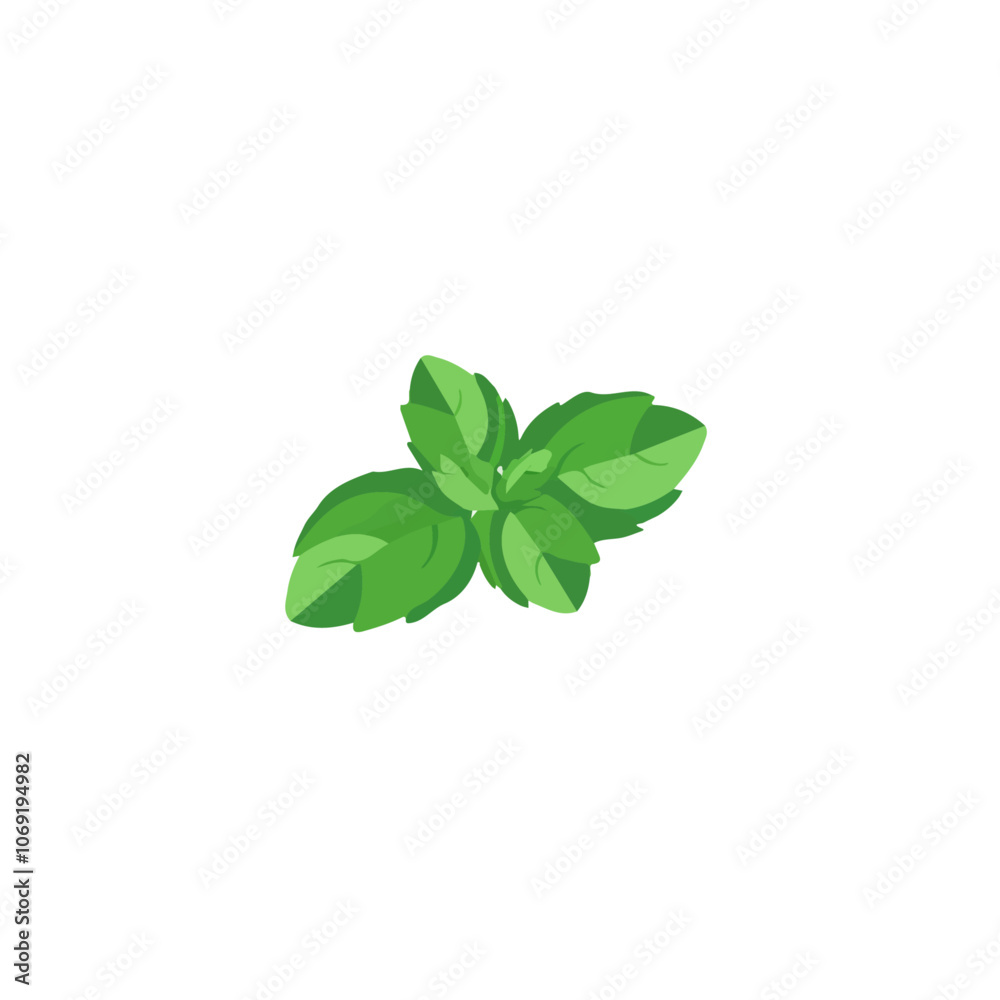 2D flat vector illustration mint icon isolated on a white background.
2D flat vector illustration mint icon isolated on a white background.