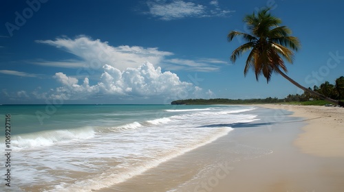 Quiet beach with pristine white sand, gentle waves caressing the shore, and a solitary palm tree leaning gracefully over the tranquil water