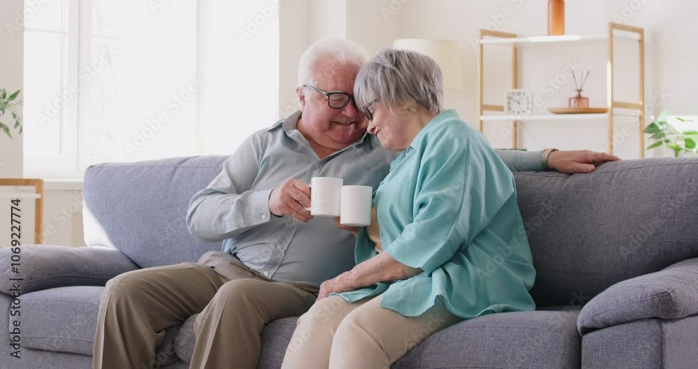 Happy, loving senior couple enjoying leisure in retirement and spending time together. Cheerful old man and woman, sitting on comfortable grey sofa, drink coffee, smile, clink mugs and touch foreheads Happy, loving senior couple enjoying leisure in retirement and spending time together. Cheerful old man and woman, sitting on comfortable grey sofa, drink coffee, smile, clink mugs and touch foreheads