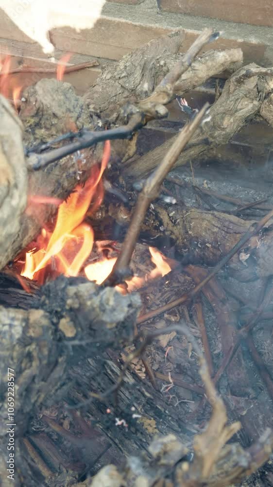 Wood burning in slow motion vertical video Wood burning in slow motion vertical video