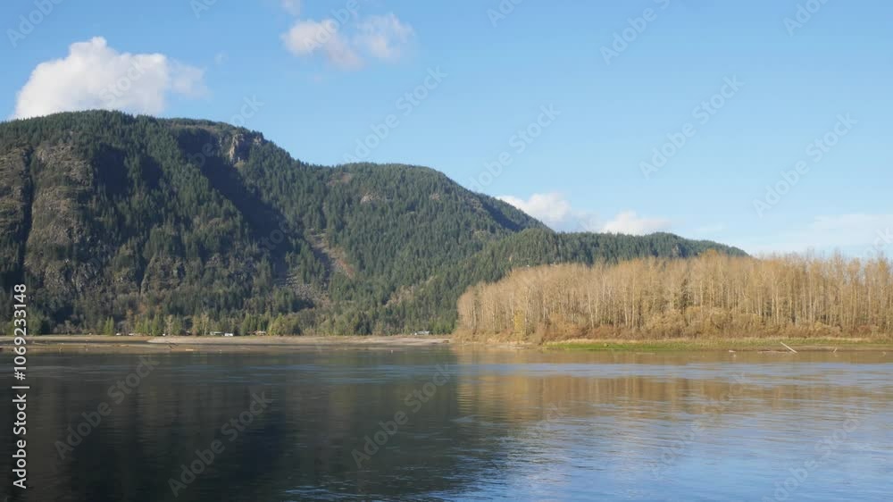 Island 22 Regional Park along Fraser River during a fall season in Chilliwack, British Columbia, Canada Island 22 Regional Park along Fraser River during a fall season in Chilliwack, British Columbia, Canada
