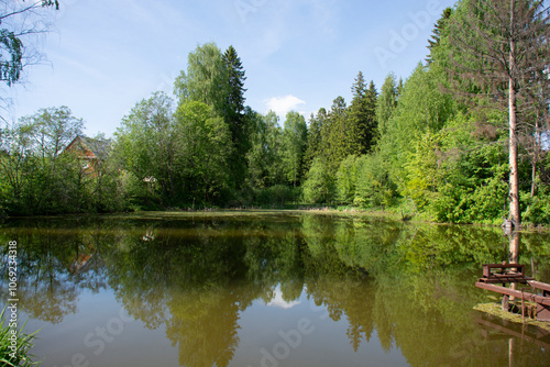 Beautiful overgrown pond in spring