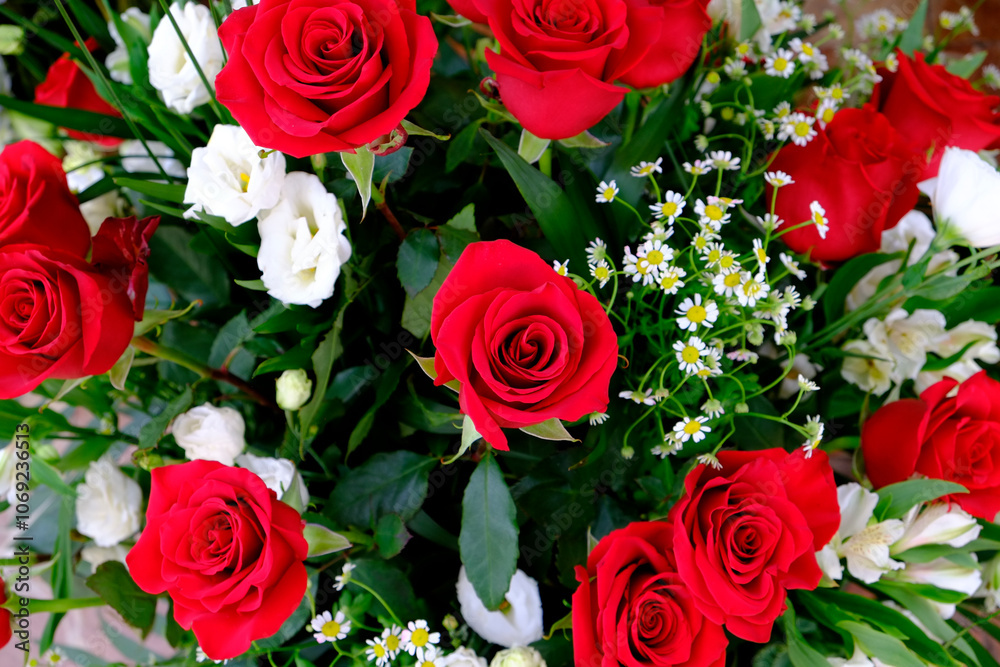 Valencia, Spain, Europe Bouquet of red roses Valencia, Spain, Europe Bouquet of red roses