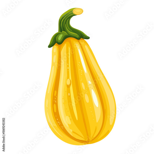 2D flat vector illustration spaghetti squash icon isolated on a white background.

