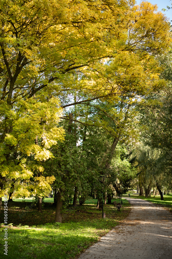 Naklejka premium Golden autumn colors in the forest