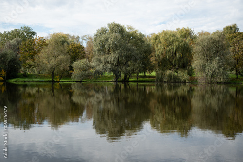 Landscape with waterline, birds, reeds and vegetation, water reflections in the Chisinau Botanical Garden Moldova