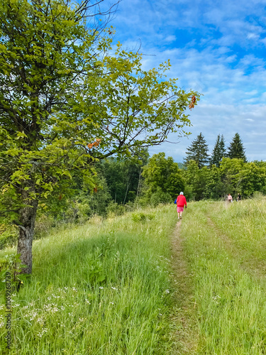 A person, dressed in a bright red jacket, is leisurely strolling through a vibrant, lush grassy field, savoring and delighting in the beautiful natural surroundings enveloping them