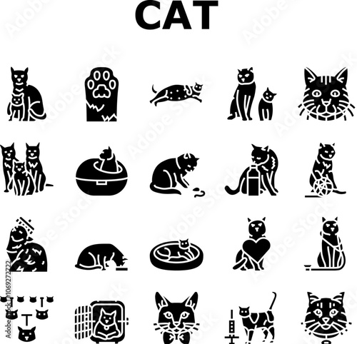 cat breeding genetics cattery icons set vector. pedigree lineage, purebred hybrid, mating selection, traits coat, temperament health cat breeding genetics cattery glyph pictogram Illustrations
