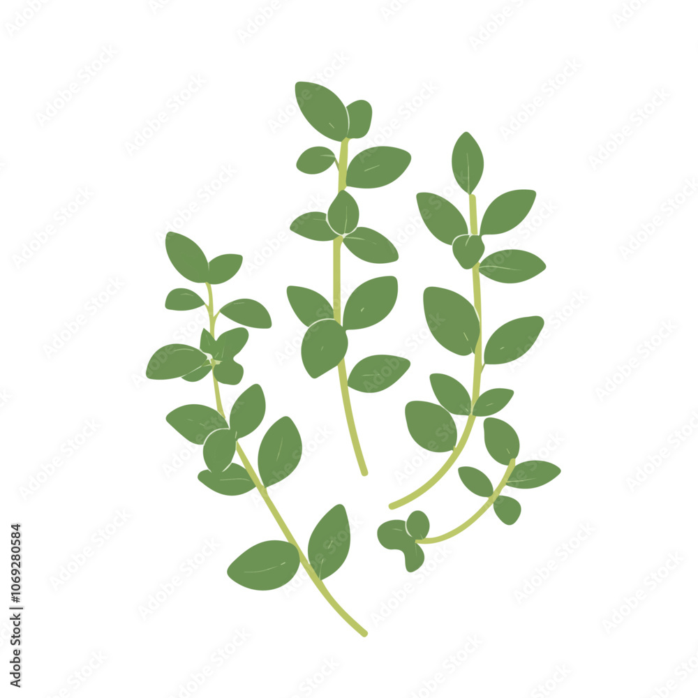 2D flat vector illustration thyme icon isolated on a white background.
2D flat vector illustration thyme icon isolated on a white background.