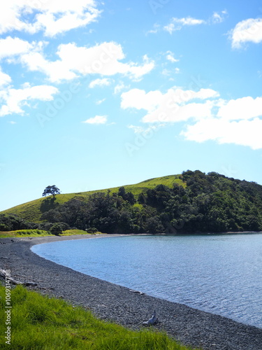  beach with darker sand in the coasts of new zealand