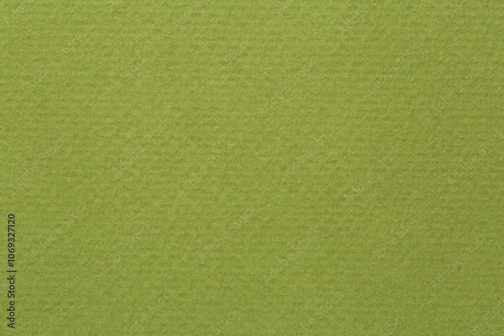 Obraz premium close up of green cardboard texture