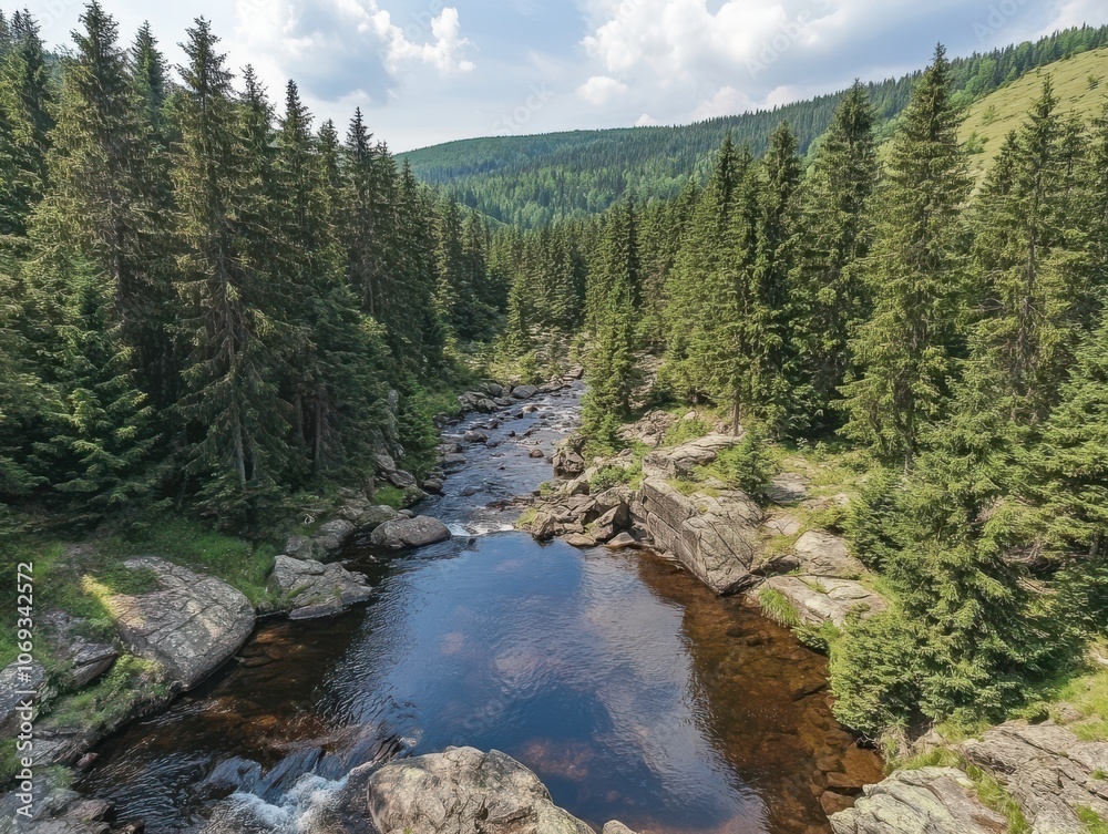 A serene river flows through a dense forest, the crystal-clear water reflecting the surrounding greenery. A serene river flows through a dense forest, the crystal-clear water reflecting the surrounding greenery.