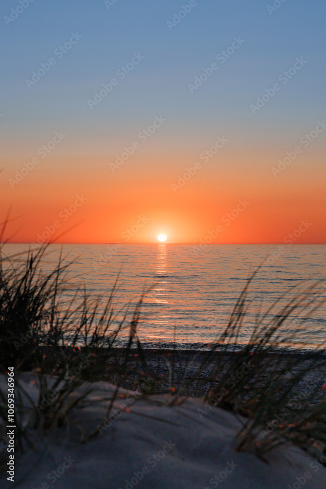 Naklejka premium A stunning sunset over a calm ocean, framed by gentle grasses in the foreground. The sea of Øresund