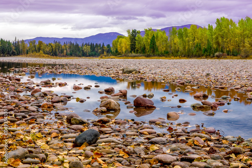 Wallpaper Mural Autumn foliage along the Flathead River in northwest Montana Torontodigital.ca