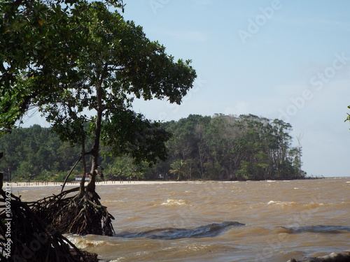 Ilha do Marajo, Amazonia, Brasil