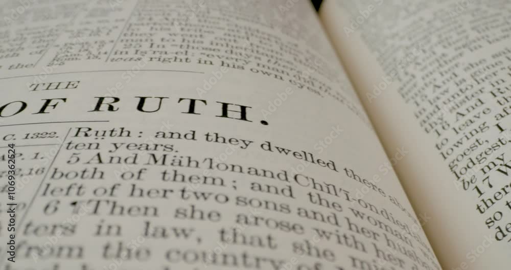 Holy Bible Macro Text Book Of Ruth Pan Left Holy Bible Macro Text Book Of Ruth Pan Left