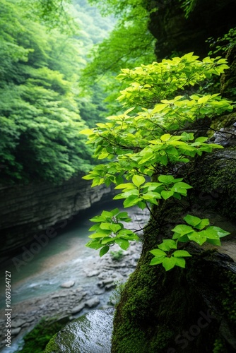 Lush green foliage clings to a moss-covered rock, overlooking a serene riverbank, embodying the tranquility of nature, Ideal for use in environmental articles, wellness themes, or outdoor promotions,