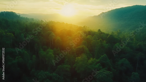 Beautiful green Amazon forest landscape at sunset, Adventure, explore, air dron view, vibe