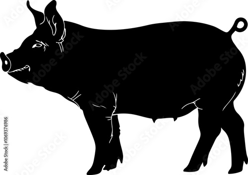 Silhouette Illustration of a Pig