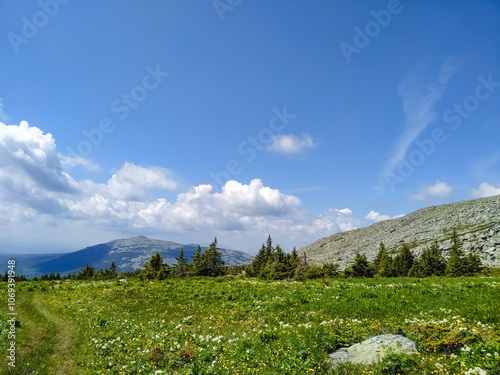 Konstfotografi A beautiful grassy field is observed with majestic mountains rising in the backg