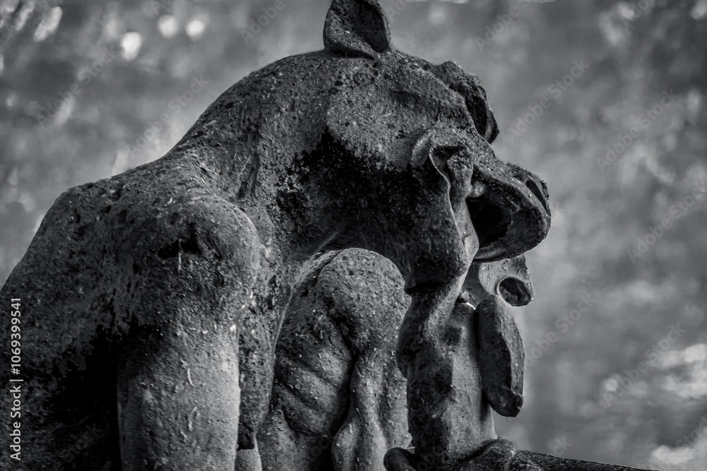 Fototapeta premium photograph of gargoyles of notre dam cathedral