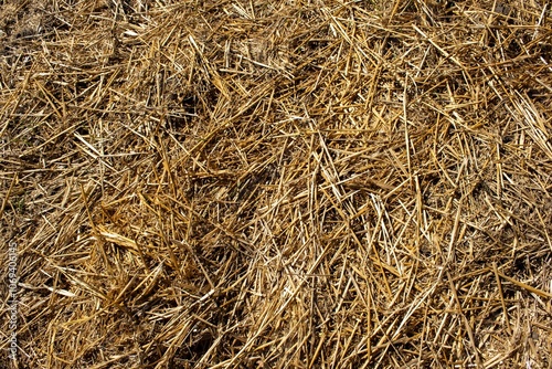 straw bale background