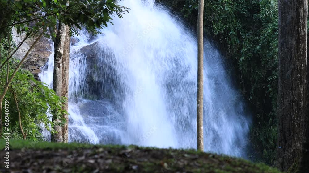 nature video background of water flowing through rocks, natural waterfalls in the middle of the forest, with a cool, blurry breeze, the abundance of forests and ecosystems. nature video background of water flowing through rocks, natural waterfalls in the middle of the forest, with a cool, blurry breeze, the abundance of forests and ecosystems.