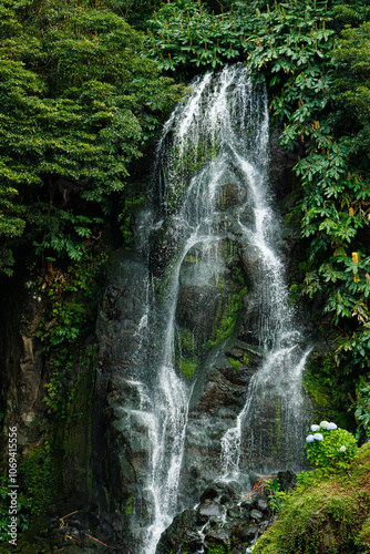 Green luxury. Forests and Waterfalls photo