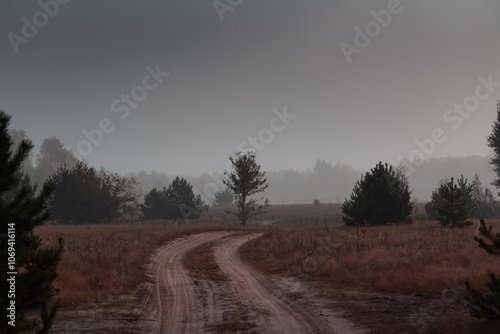 Misty landscape in the forest, Volyn, Shatsky lake, Ukraine. photo