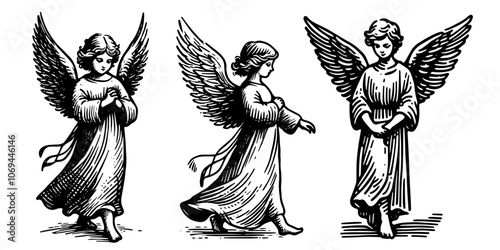 three angels cherubs with wings in serene and playful poses