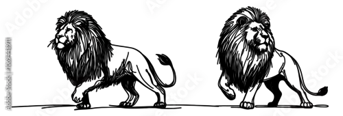 Obraz dwa majestatyczne lwy idące w szczegółowym rysunku liniowym