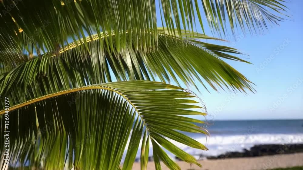 Palm leaves swaying on the wind, 4k video animation Palm leaves swaying on the wind, 4k video animation