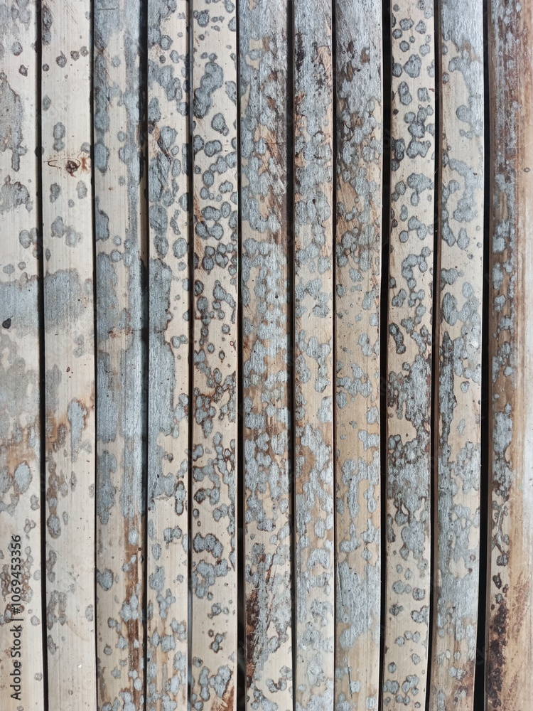 Weathered wood with natural fungal or lichen growth patterns can be used as a texture background in various design projects, such as graphic design, digital art, or architectural visualization Weathered wood with natural fungal or lichen growth patterns can be used as a texture background in various design projects, such as graphic design, digital art, or architectural visualization