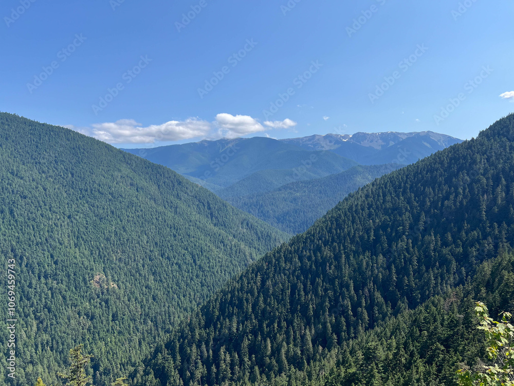 Fototapeta premium Mountains at Olympic National Park in Washington on a sunny day with clear skies. 