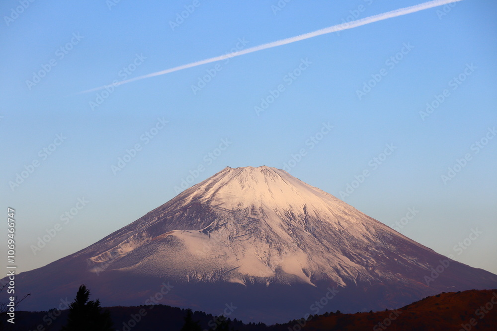 Fototapeta premium 富士山