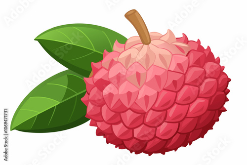  Delicious fresh lychee fruit isolated on white vector art illustration  photo