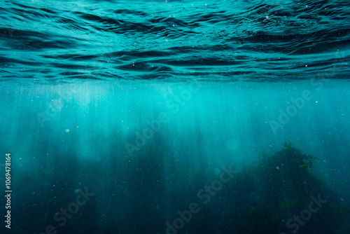 Mysterious Underwater Scene with Sunlight Filtering Through