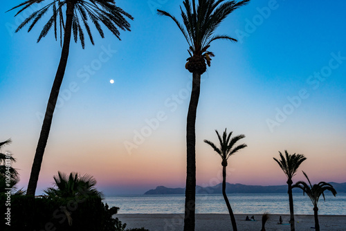 Sunset Beach with Palm Trees and Moon in Tranquil Evening Sky