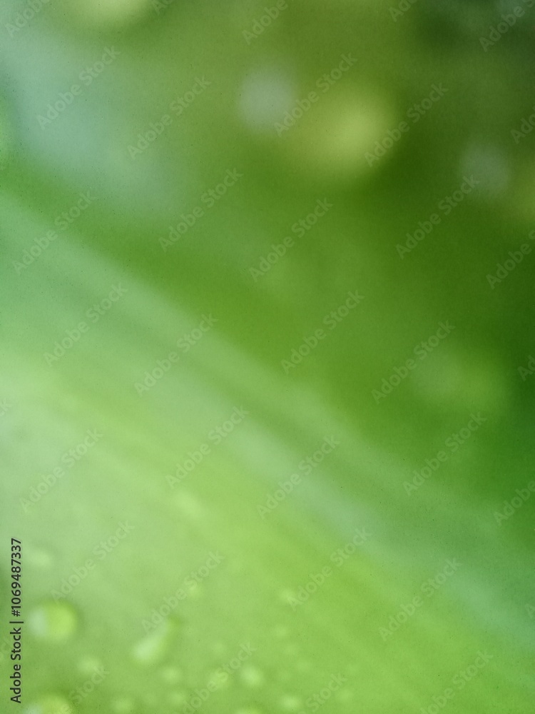 Vertical green gradient with blur background Vertical green gradient with blur background