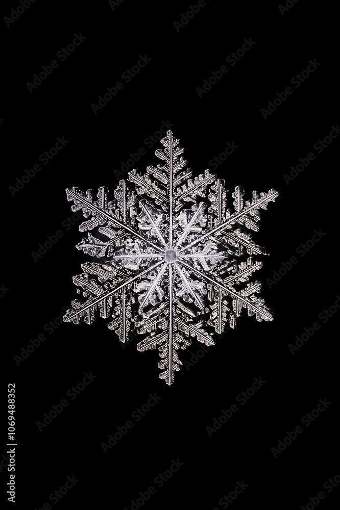 Snowflake on a black background Snowflake on a black background