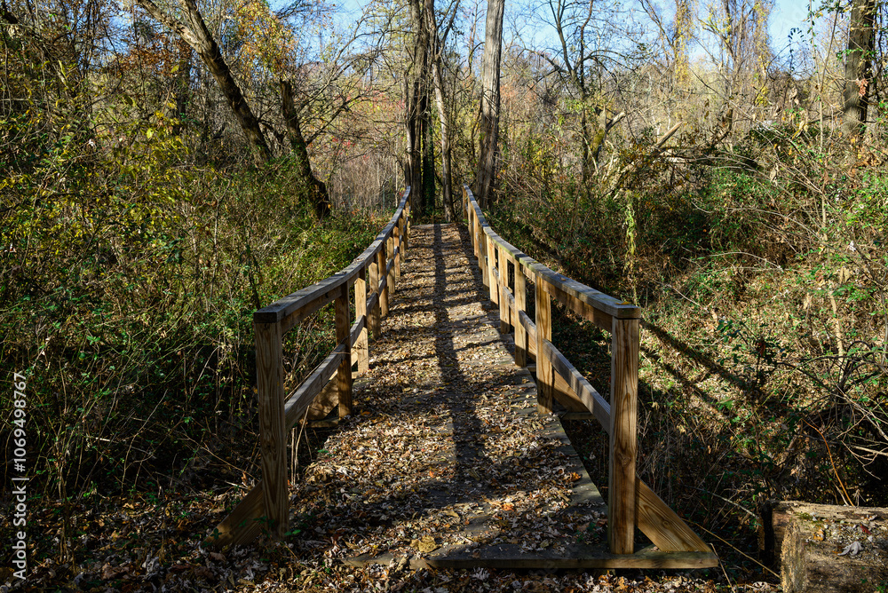 Woodland foot bridge covered with leaves in the late afternoon autumn sun. Woodland foot bridge covered with leaves in the late afternoon autumn sun.