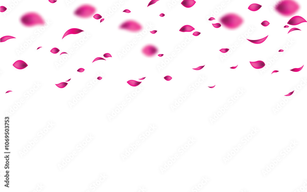 pink falling petals vector. pink petals isolated transparent background pink falling petals vector. pink petals isolated transparent background