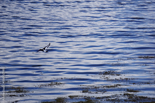 2024.04.21 Gjemnes, Angvika, Hjelset