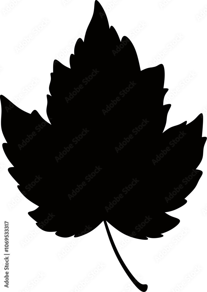 Black silhouette of maple leaf icon,simple maple leaf sillhoute on isolated white background,canadian maple leaf on black silhouette design vector Black silhouette of maple leaf icon,simple maple leaf sillhoute on isolated white background,canadian maple leaf on black silhouette design vector