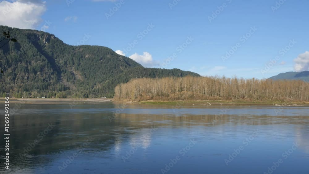 Island 22 Regional Park along Fraser River during a fall season in Chilliwack, British Columbia, Canada Island 22 Regional Park along Fraser River during a fall season in Chilliwack, British Columbia, Canada