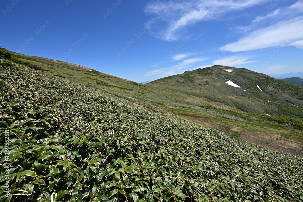 Mount. Tairappyou and Sennokura, Gunma, Japan Mount. Tairappyou and Sennokura, Gunma, Japan