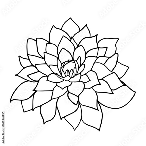 illustration of a flower