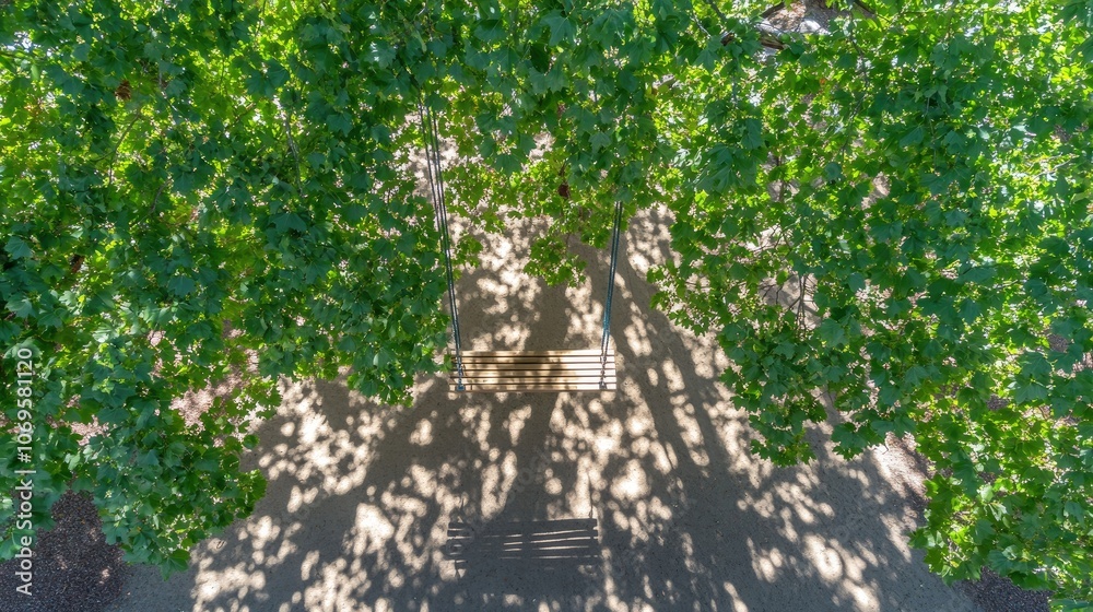 Peaceful Swing Under Green Tree Canopy Peaceful Swing Under Green Tree Canopy