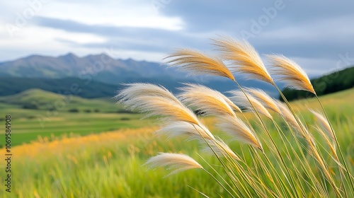 The meadow stretched endlessly in every direction, a sea of tall grasses swaying rhythmically in the gentle breeze, creating a mesmerizing dance of green and gold. photo