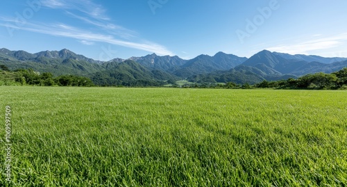 Scenic mountain landscape with green meadow